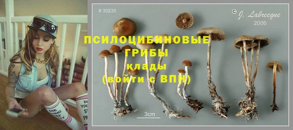 ешки Лабытнанги