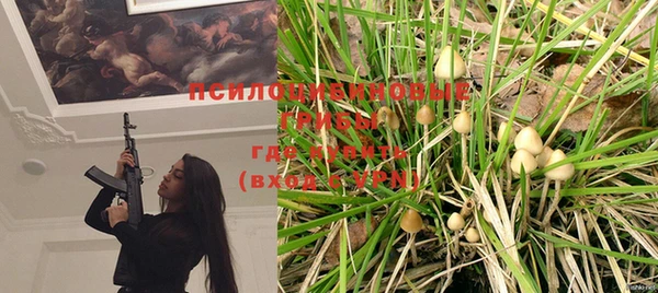 ешки Лабытнанги