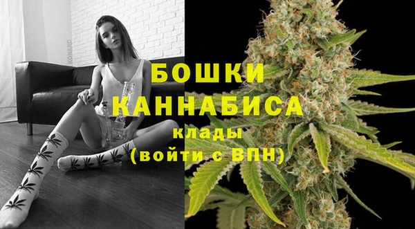 крисы Ладушкин