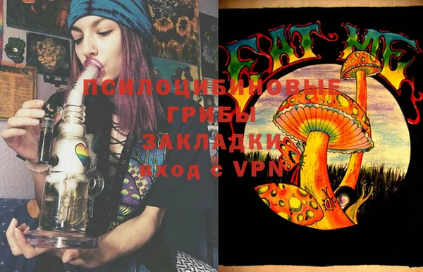 крисы Ладушкин
