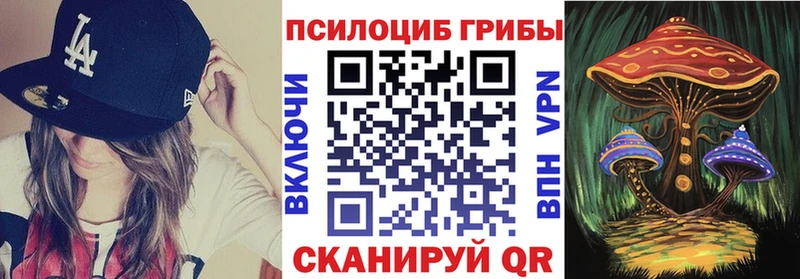 Галлюциногенные грибы Psilocybine cubensis Серпухов