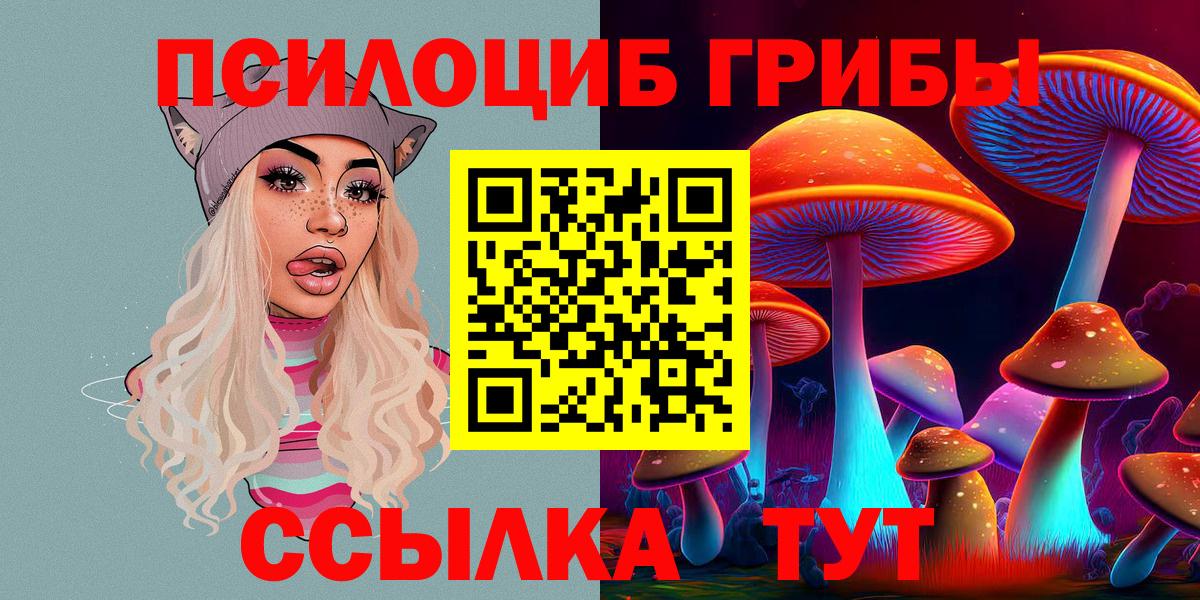 Серпухов  где купить наркотик  Вход с VPN  Галлюциногенные грибы Psilocybine cubensis 