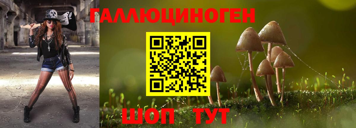 Галлюциногенные грибы Cubensis Серпухов